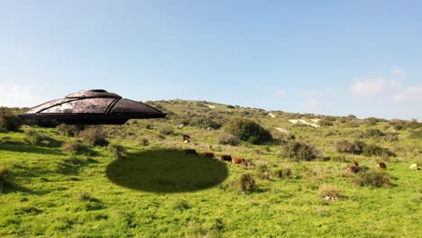 ufo sobre un pasto con vacas