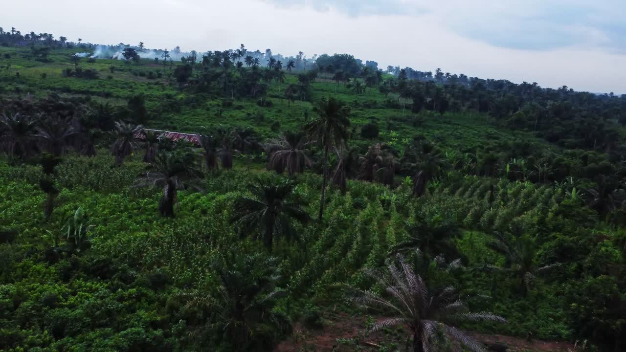 Beautiful aerial of tropical trees and green hills in the countryside of Nigeria, Africa. An abandoned shed stands in the middle of nature and smoke is rising in the background
