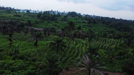 beautiful aerial of tropical trees and green hills in the countryside of nigeria, africa. an abandoned shed stands in the middle of nature and smoke is rising in the background