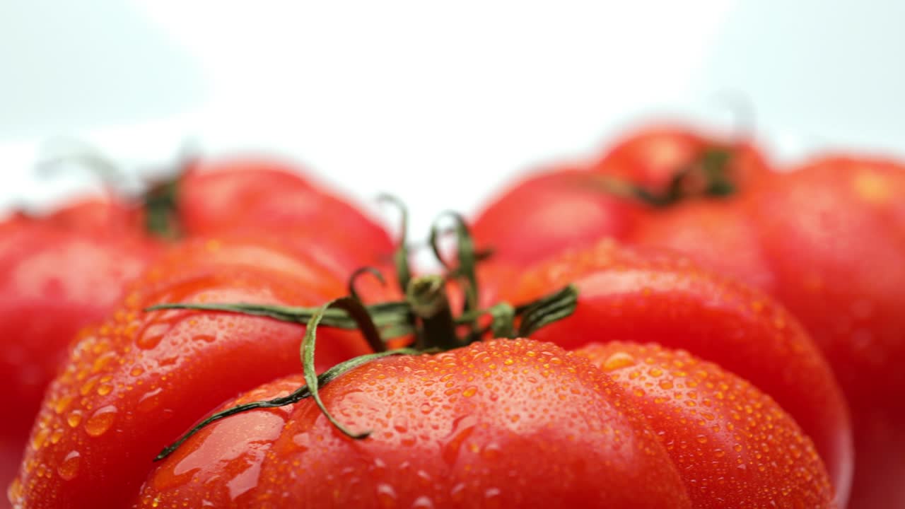 은 토마토 (루핑)