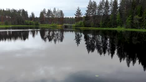 low altitude drone aerial flight over lake in between pine tree forest in dalarna county, vansbro in sweden