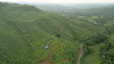 Schöne-Weite-Aussicht-Aus-Der-Vogelperspektive-Auf-Den-Wald