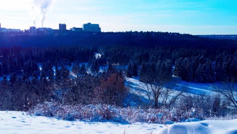 Pinos-Cubiertos-De-Nieve-En-El-Parque-Del-Valle-Del-Parque-De-La-Victoria-Con-La-Universidad-De-Alberta-En-El-Horizonte-Con-Vista-Al-Clima-Extremo-Natural-Ya-Que-Todos-Sus-Edificios-Están-Humeando-Con-Humo-De-Las-Chimeneas