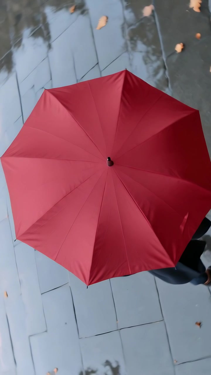 Video verticale: Inizia a piovere, un adulto cammina con un ombrello rosso lungo un sentiero bagnato, cercando riparo.