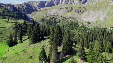 Aufragende-Höhen-Der-Braunwalder-Alpen,-Glarnerland,-Schweiz.-Luftaufnahmen