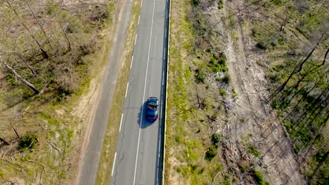 Drohnenaufnahmen-Eines-Porsche,-Der-Durch-Die-Kiefern-Entlang-Der-Französischen-Küste-Von-Arcachon-Fährt