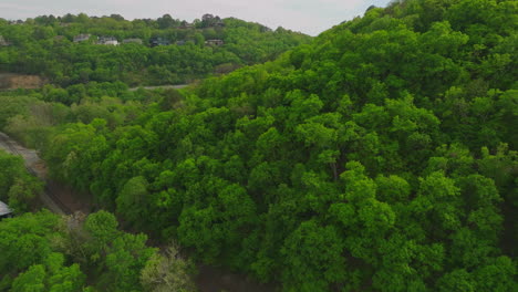 Flyover-Dense-Trees-Towards-The-Mountain-Road-At-Two-Rivers-Park-In-Little-Rock,-Arkansas,-USA