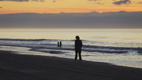 Silhouette-of-woman-walking-along-sandy-beach-and-ocean-shore-during-beautiful-sunrise