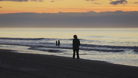 silhouette of woman walking along sandy beach and ocean shore during beautiful sunrise