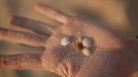 a close up shot of the palm of a caucasian female covered in grains of sand holding an assortment of small beautiful seashells on a beach