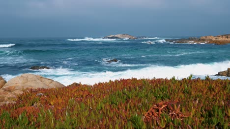 pebble beach, una unidad de 17 millas en monterey, california