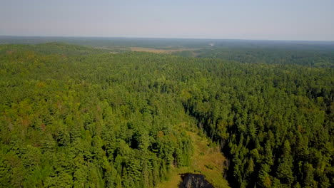 beautiful 4k aerial shot of a forest and swampy river in ontario, canada