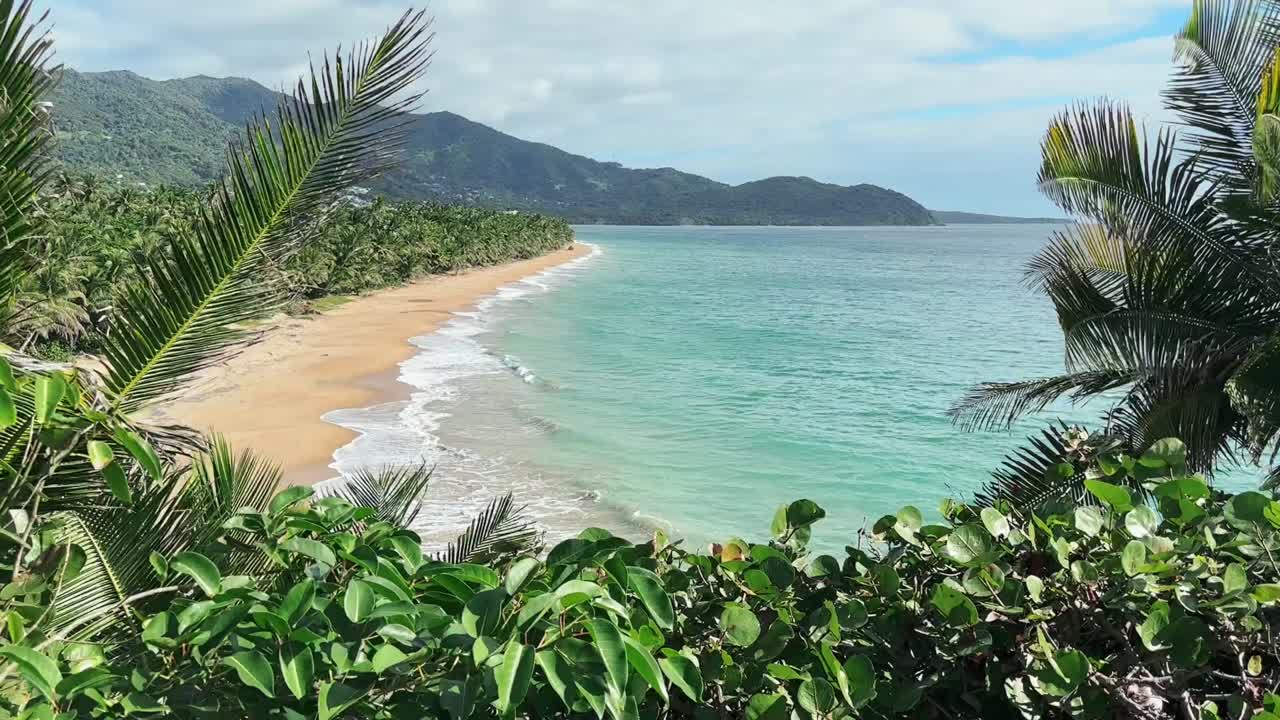 Punta Tuna Beach in Maunabo Puerto Rico. Slow motion footage of tropical plants and ocean waves crashing on the beach. Green mountains in the background and beautiful beach sands