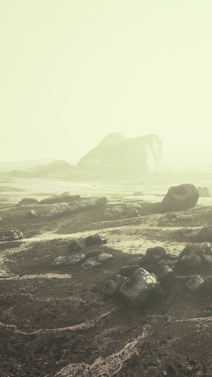 Landscape with rocks in a foggy environment during daylight hours