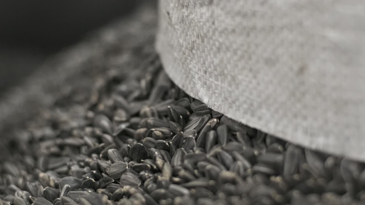 많은 씨, 선플라워 씨, 베이킹 머신, 긴 선플라우머 씨, 자동차에서 나온 음식 생산.