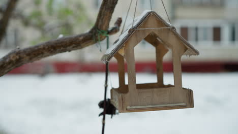 wooden birdhouse hanging on tree branch covered with snow, featuring carved details on wood, set against blurred snowy residential building in background