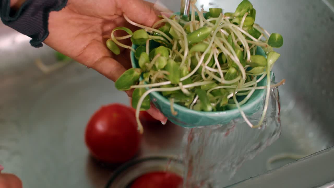 Washing Sunflower Sprouts and Tomatoes