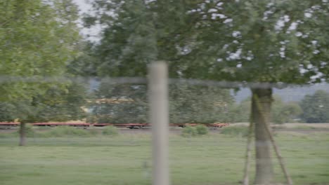 In-motion,-an-orange-and-white-tram-bearing-"Karte-ab-65"-on-its-side,-glides-from-left-to-right-past-a-green-field,-trees,-and-a-wooden-fence,-shot-from-a-distance-with-a-handheld-camera