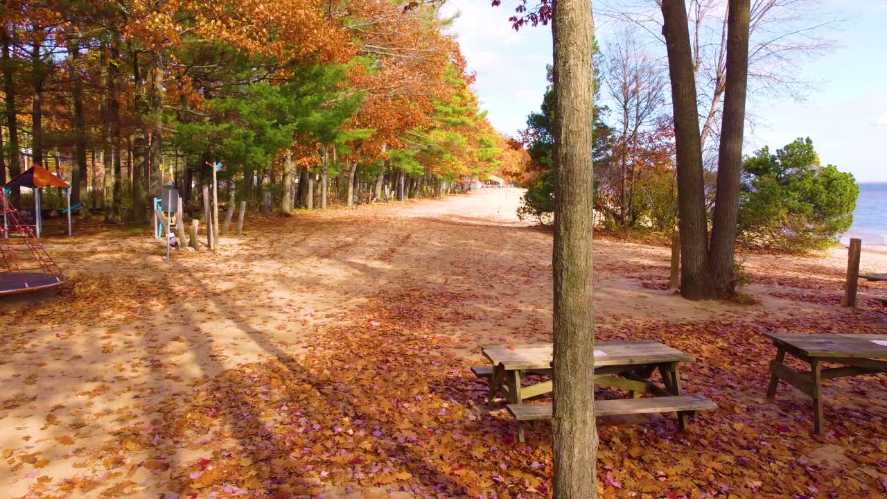 A peaceful view of the fall foliage in Oka National Park, Québec, Canada