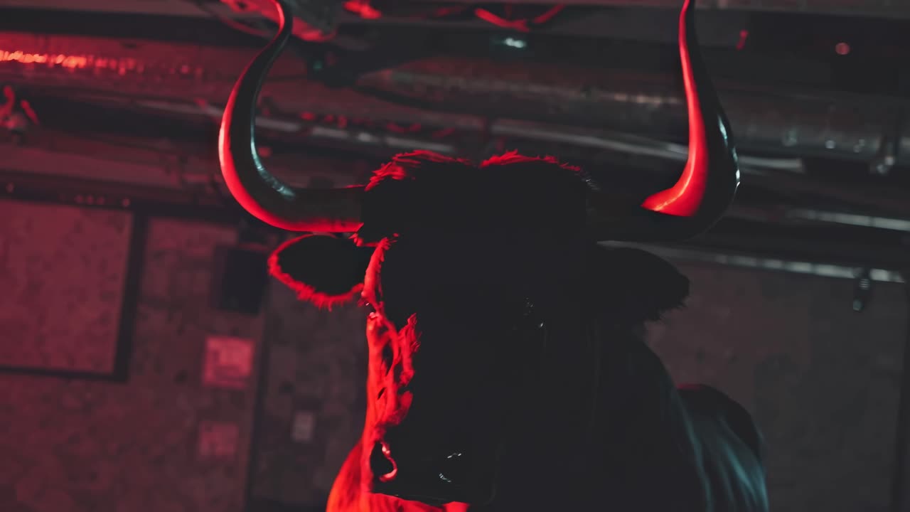 Close-up of a bull head in a dimly lit space with red and blue lighting