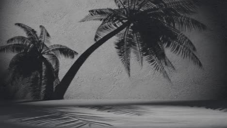 palm tree shadows on a textured black wall