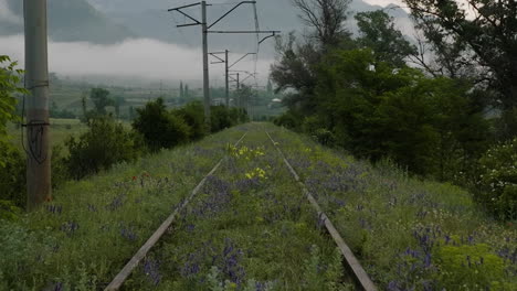Abandoned-Rail-Track-Near-Atskuri-With-Overcast-Sky-In-Georgia