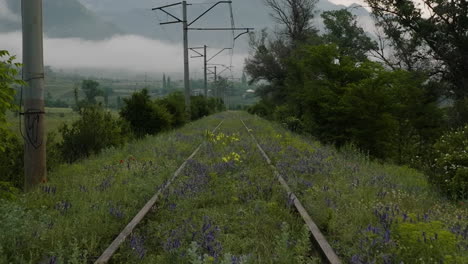 abandoned rail track near atskuri with overcast sky in georgia