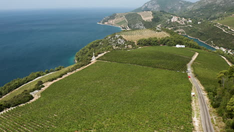 Vista-Aérea-De-La-Bodega-Y-Viñedos-De-Komarna-En-Verano-En-Dalmacia,-Croacia