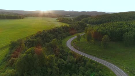 scenic country road through forest at sunrise/sunset