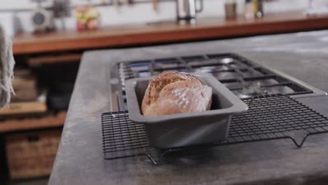 hands of caucasian man pulling bread out from oven in kitchen, slow motion