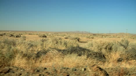 driving through the empty desert with dry plants passing by on the side of the road, closer