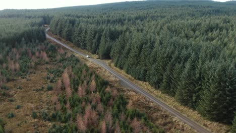 Dron-Persigue-A-Un-Coche-De-Rally-Conduciendo-Por-Un-Bosque-Aislado-Carreras-De-Ripio