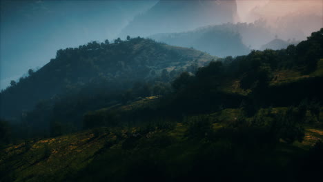 autumn forest on green rocky hills