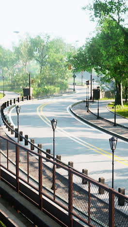 empty winding road in a park