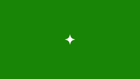 green flag with a white star