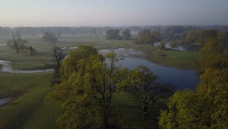 Flying-above-the-meadows-full-of-old-amazing-oaks