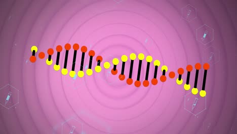 Animation-of-icons,-dna-strand-over-pink-pulsating-circles