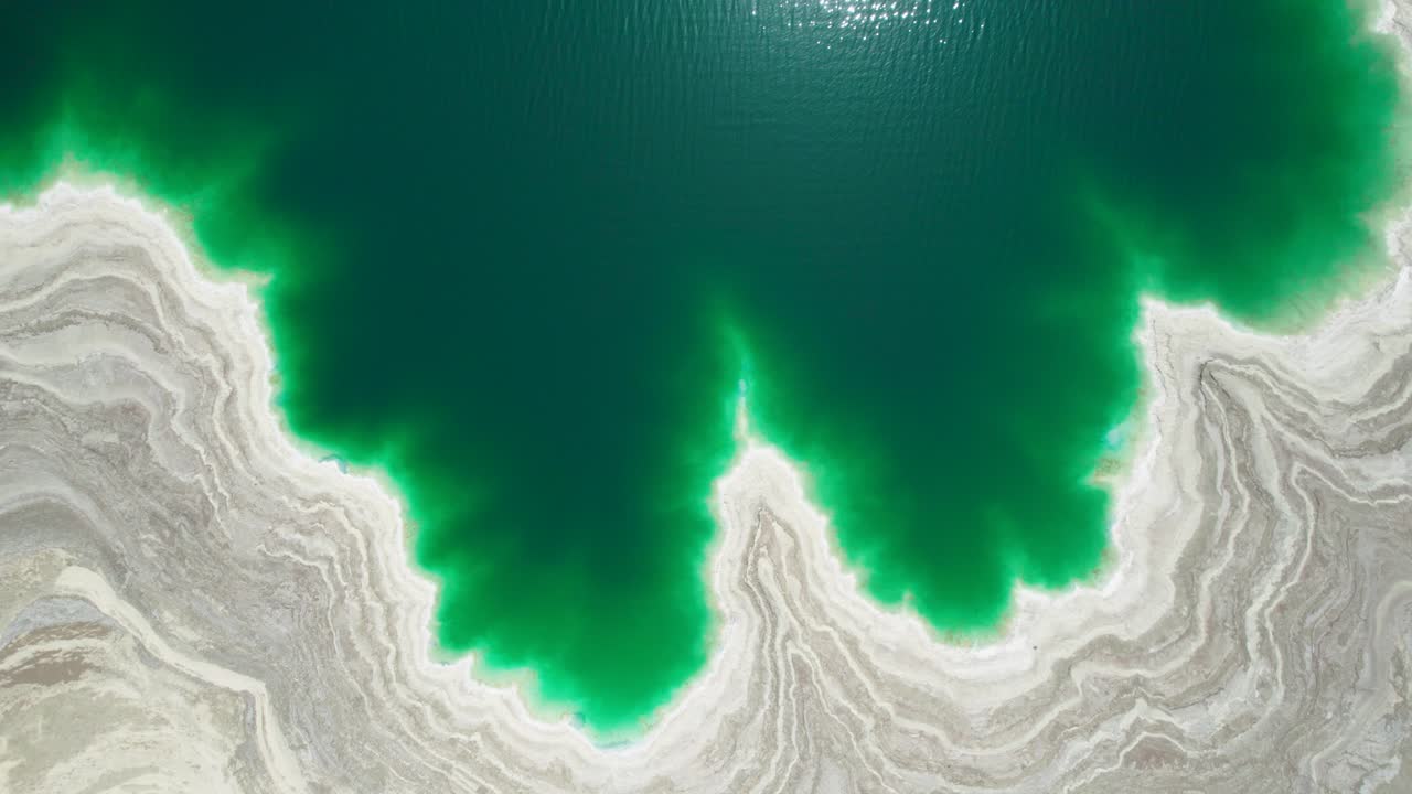 죽은 바다 위의 후리