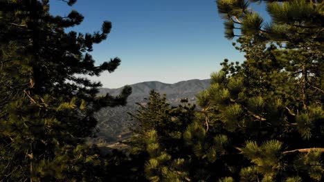 Hermosa-Antena-Sobre-El-Desierto-De-La-Montaña-De-Pinos-Y-Los-árboles-Programados-Para-Ser-Talados-Y-Removido-El-Hábitat-5