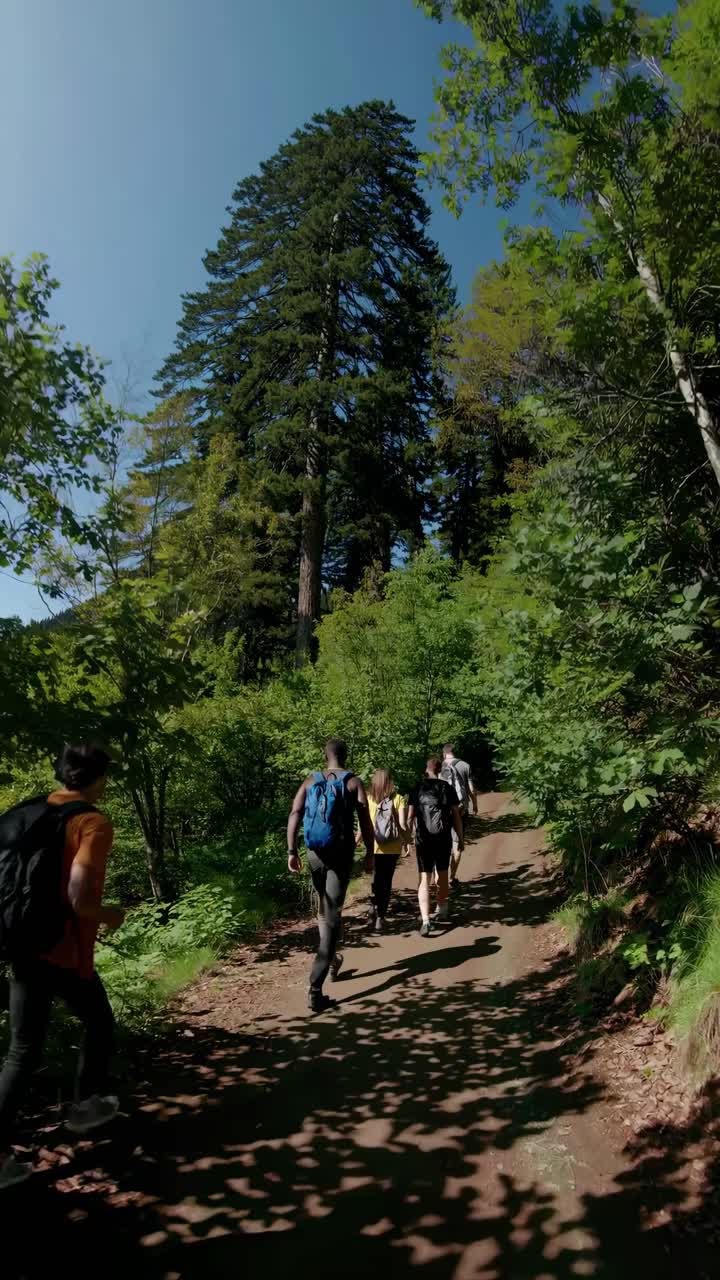 Un gruppo in escursione su un sentiero nel bosco, ripreso dal basso, che mostra alberi imponenti e cielo sereno.