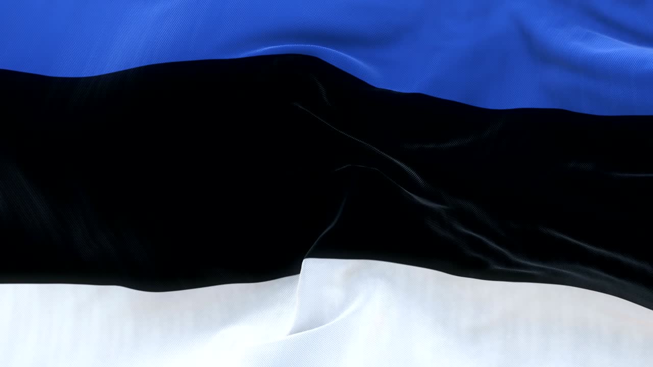 전체 화면 에스토니아 발이 천천히 흔들리고 있습니다.