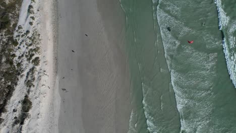 Kitesurfer-Aus-Der-Luft-Von-Oben-Nach-Unten-Am-Big-Bay-Beach-In-Kapstadt,-Südafrika