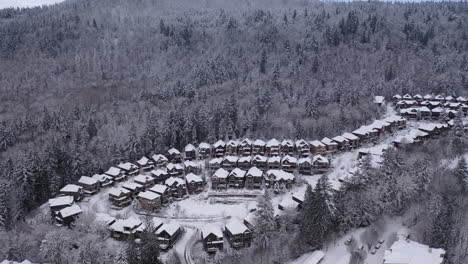 Aerial-view-of-snow-covered-neighborhood-in-the-mountain-surrounded-by-trees