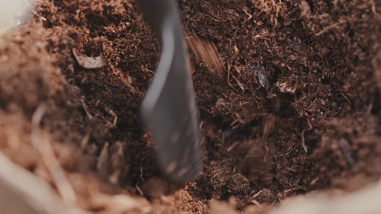 Fare un buco nel vaso per piantare