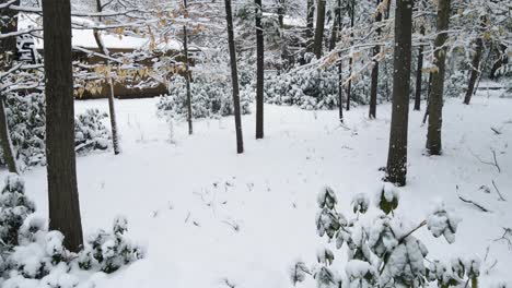 Nieve-Densa-Cayendo-Sobre-Un-Trozo-De-Bosque-Suburbano