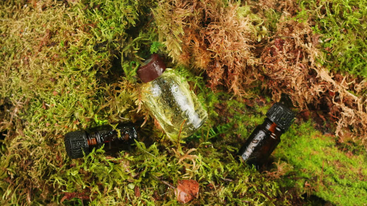 Bottle of cosmetics cream serum on moss forest background green leaves. Woman Make up healthy natural products.