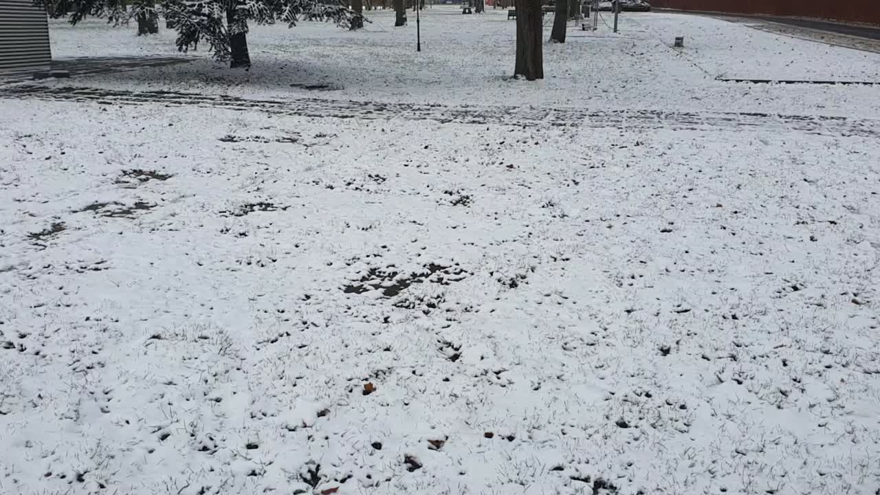 겨울에 베를린까지  ⁇  템펠호페르펠트 공원에서 눈으로  ⁇ 인 hd 30fps 6초