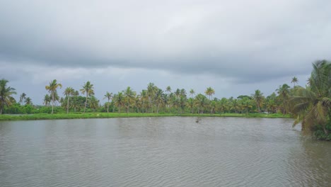 Estanque-De-Cultivo-De-Peces-De-Agua-Salobre,-Estanque-Donde-Se-Cultivan-Gambas-En-Abundancia,-Un-Estanque-Rebosante-De-Agua,-Prácticas-Acuícolas-En-Asia