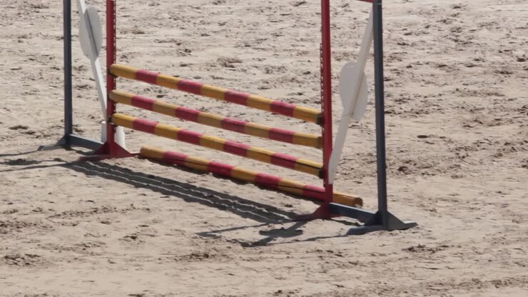 Un cavallo che salta gli ostacoli da sinistra a destra durante un concorso ippico di salto ostacoli.