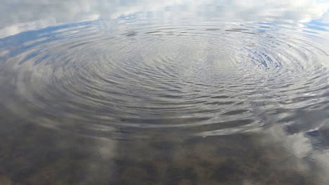 beautiful water waves and ripples from a stone falling into a water surface of a lake